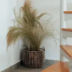 Apartamento Armonia Serifos