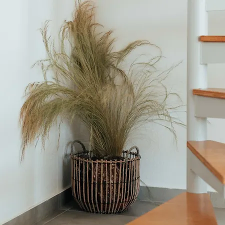 Apartment Armonia Serifos