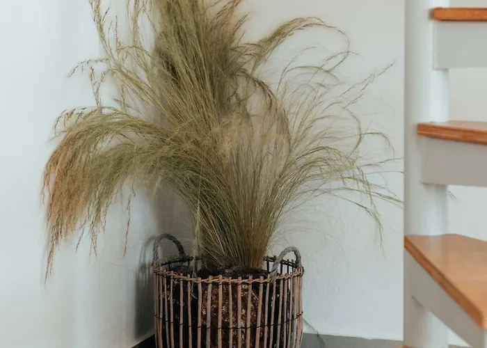 Appartement Armonia Serifos